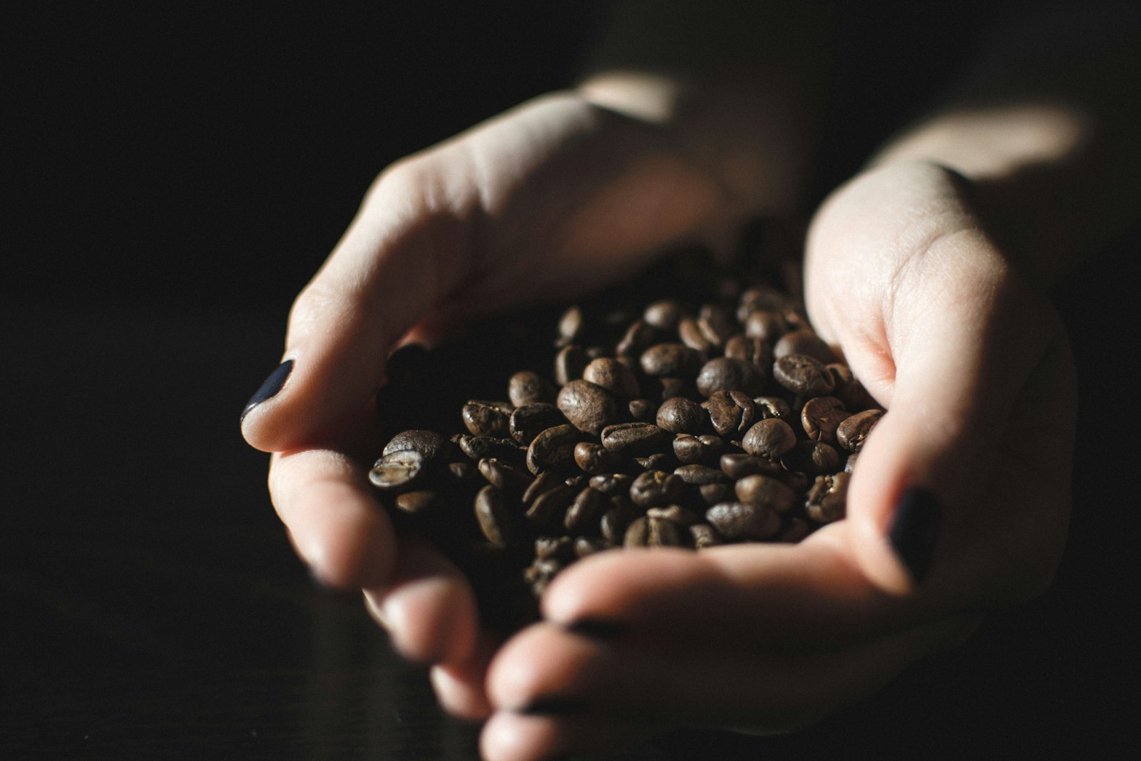 Hands cradling fresh coffee beans