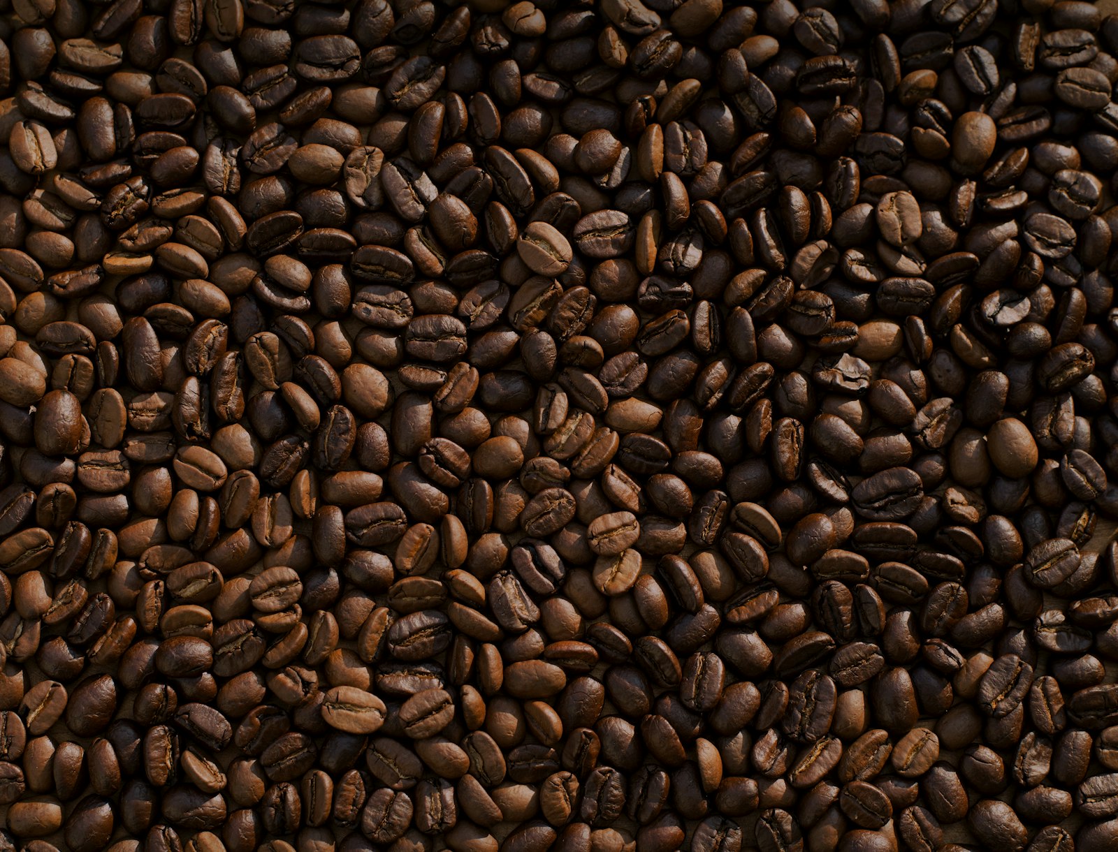 Freshly roasted coffee beans